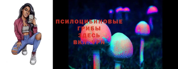 тгк Россошь