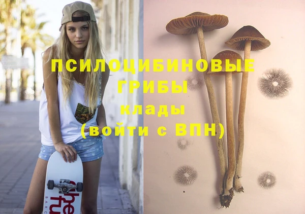 jwh Ростов