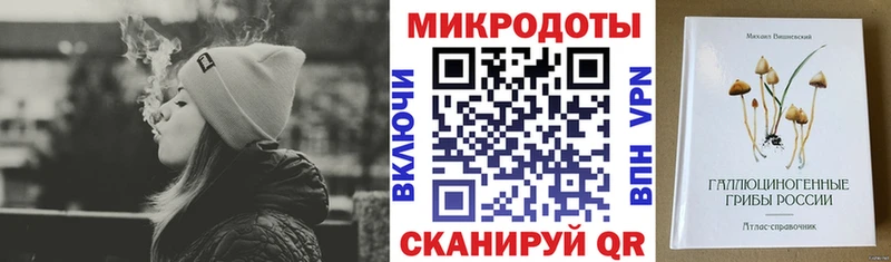 Псилоцибиновые грибы мицелий Купить где Касимов